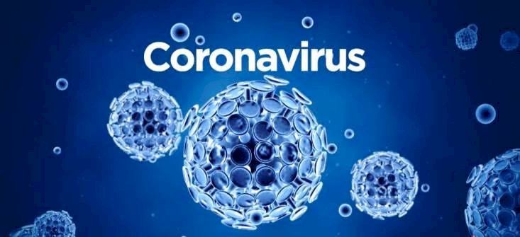 Coronavirus: Katsina State Records First Suspected Case
