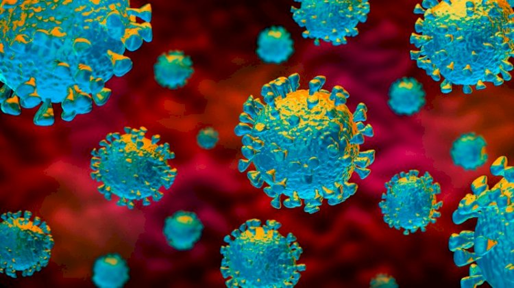 COVID-19: British Company Invents 10-Minute Coronavirus Test, Costs $1