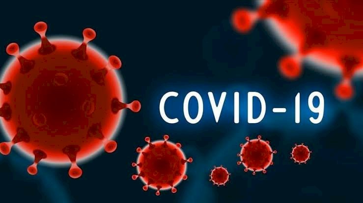 COVID-19: Figure Hits 190 As Nigeria Records 6 New Cases, 20 Discharged
