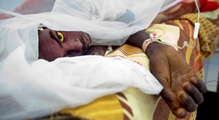 Seven Persons Die from Cerebral Meningitis in Upper East