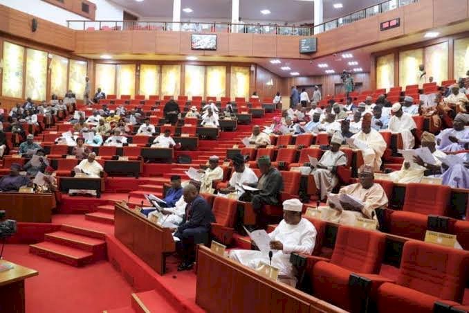2020 Budget: Nigerian Senate Approves Buhari’s N850bn Loan Request