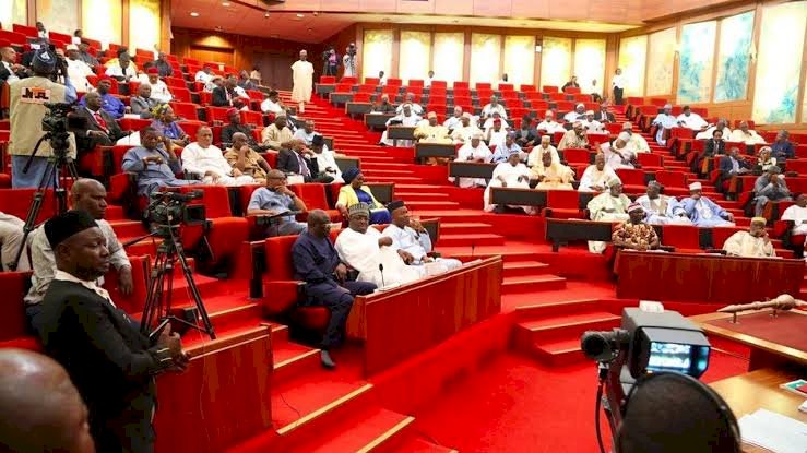 Nigerian Senate Considers Reversal Of Power Privatisation