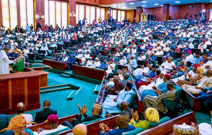 NASS Suspends Holiday To Review 2020 Appropriation Bill
