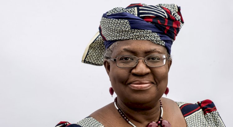 Egypt Wants Okonjo-Iweala Disqualified From World Trade Organisation DG Post