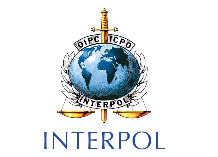 Interpol would not consider Iran's  Arrest Warrant for President Trump.