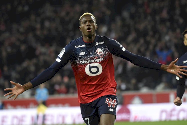 Nigerian Striker, Victor Osimhen Set To Arrive Italy For Possible Napoli Transfer