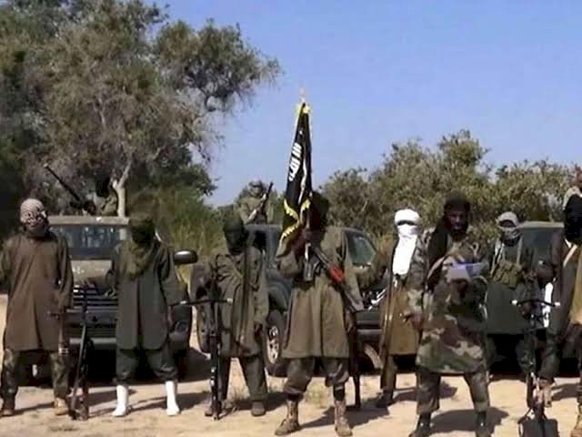 "It’s Not Our Duty To Reveal Boko Haram Sponsors"- Nigerian Army