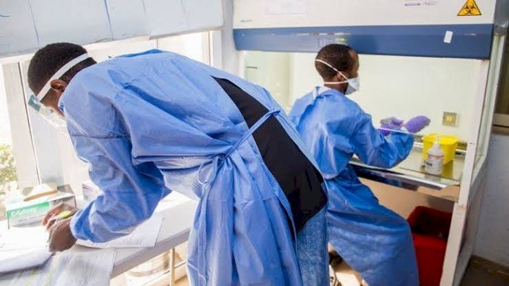 Coronavirus: 201 Edo Health Workers Test Positive
