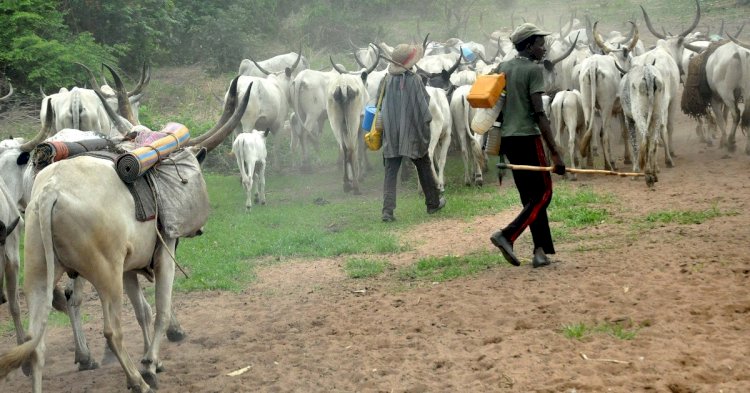 A/R: Fulani Herdsmen threaten ‘bloody combat’ if Authorities don’t intervene in Brutal Killings of their Members