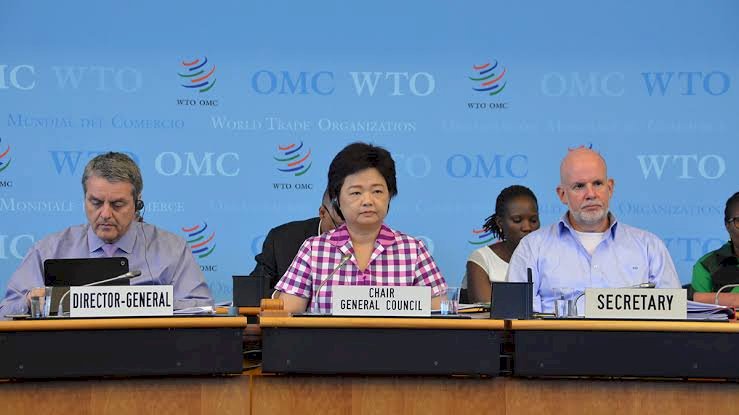 WTO Election: General Council Agrees Guidelines For Final Stage Of DG Selection