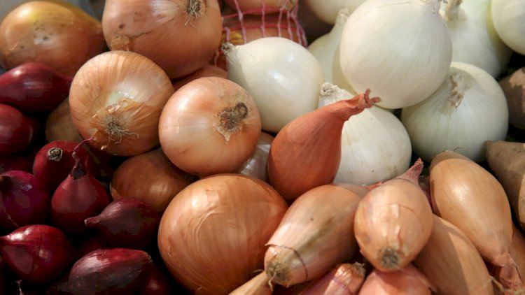 New a Viral disease Related to onions is on the loose