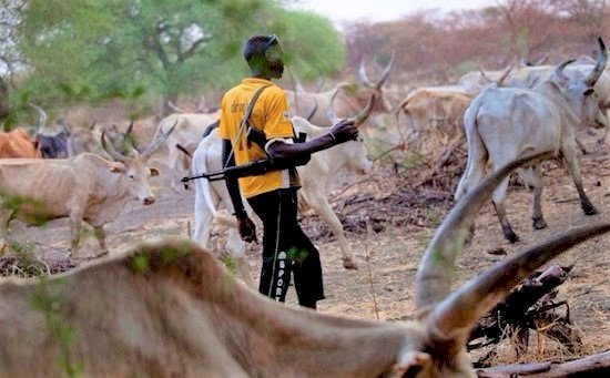 A/R: Fulani Herdsmen Resound Warning to ' Retaliate' over  alleged Killing of their Members
