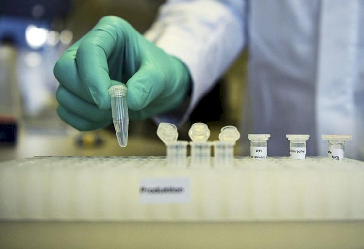 Russia announces world’s first Covid-19 vaccine; Putin's Daughter 'Vaccinated'