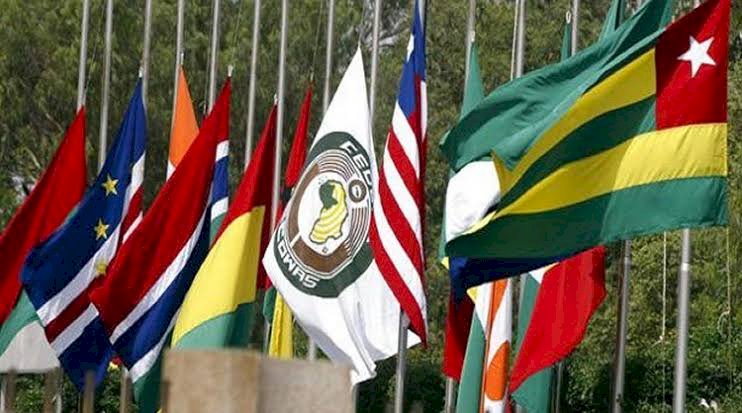 Mali Crisis: ECOWAS Suspends Mali, To Impose Sanctions