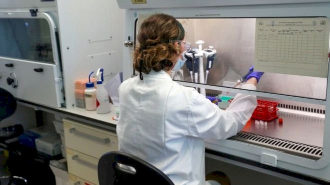 Coronavirus: Oxford University vaccine trial paused after participant falls ill